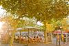 camping proche plage hendaye
